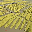 泰州旅游 缩略图 9