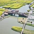 泰州旅游 缩略图 8