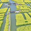 泰州旅游 缩略图 7