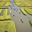 泰州旅游 缩略图 6