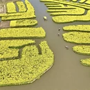 泰州旅游 缩略图 2