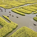 泰州旅游 缩略图 5