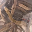 徐州旅游 缩略图 5