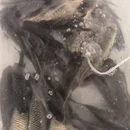 徐州旅游 缩略图 9