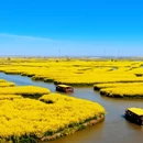 泰州旅游 缩略图 14