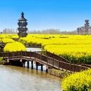 泰州旅游 缩略图 15