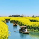 泰州旅游 缩略图 13