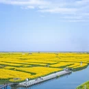 扬州旅游 缩略图 4