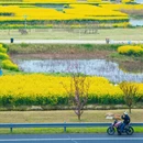 扬州旅游 缩略图 7
