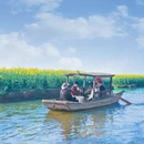 扬州旅游 缩略图 5