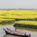 扬州旅游 缩略图 8