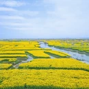 扬州旅游 缩略图 9