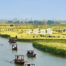 泰州旅游 缩略图 1