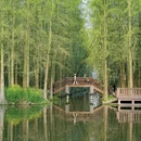 泰州旅游 缩略图 5