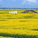 扬州旅游 缩略图 12