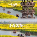 泰州旅游 缩略图 1