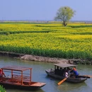 扬州旅游 缩略图 5