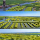 扬州旅游 缩略图 3