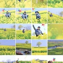 扬州旅游 缩略图 2