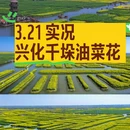 扬州旅游 缩略图 1