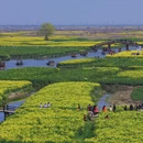 扬州旅游 缩略图 9