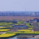 扬州旅游 缩略图 11