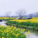 扬州旅游 缩略图 10