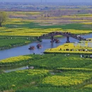 扬州旅游 缩略图 7
