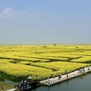 泰州旅游 缩略图 1