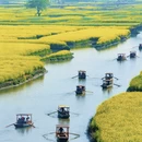 泰州旅游 缩略图 2