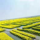 泰州旅游 缩略图 4