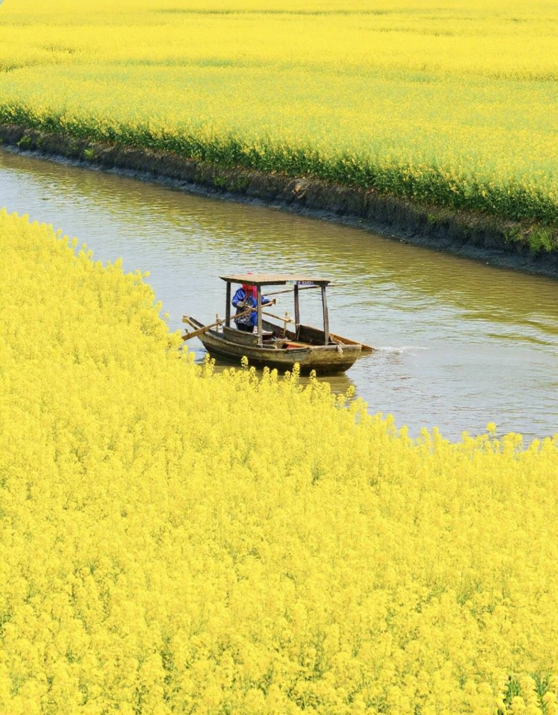 泰州旅游