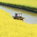 泰州旅游 缩略图 1