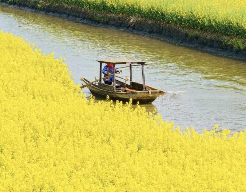 泰州旅游 1