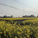 徐州旅游 缩略图 1