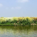 泰州旅游 缩略图 2
