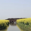 南京旅游 缩略图 3