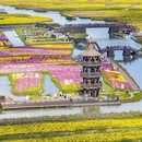 泰州旅游 缩略图 1