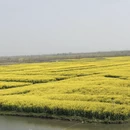 南京旅游 缩略图 5