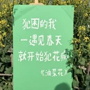 南京旅游 缩略图 8