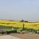 扬州旅游 缩略图 6