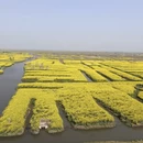 扬州旅游 缩略图 3