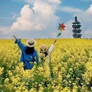 泰州旅游 缩略图 2