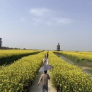 扬州旅游 缩略图 4