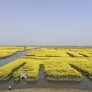 扬州旅游 缩略图 2