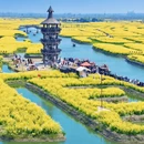 泰州旅游 缩略图 6