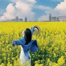 泰州旅游 缩略图 7