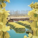 泰州旅游 缩略图 8