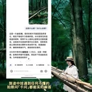 泰州旅游 缩略图 11