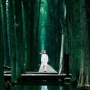 泰州旅游 缩略图 13